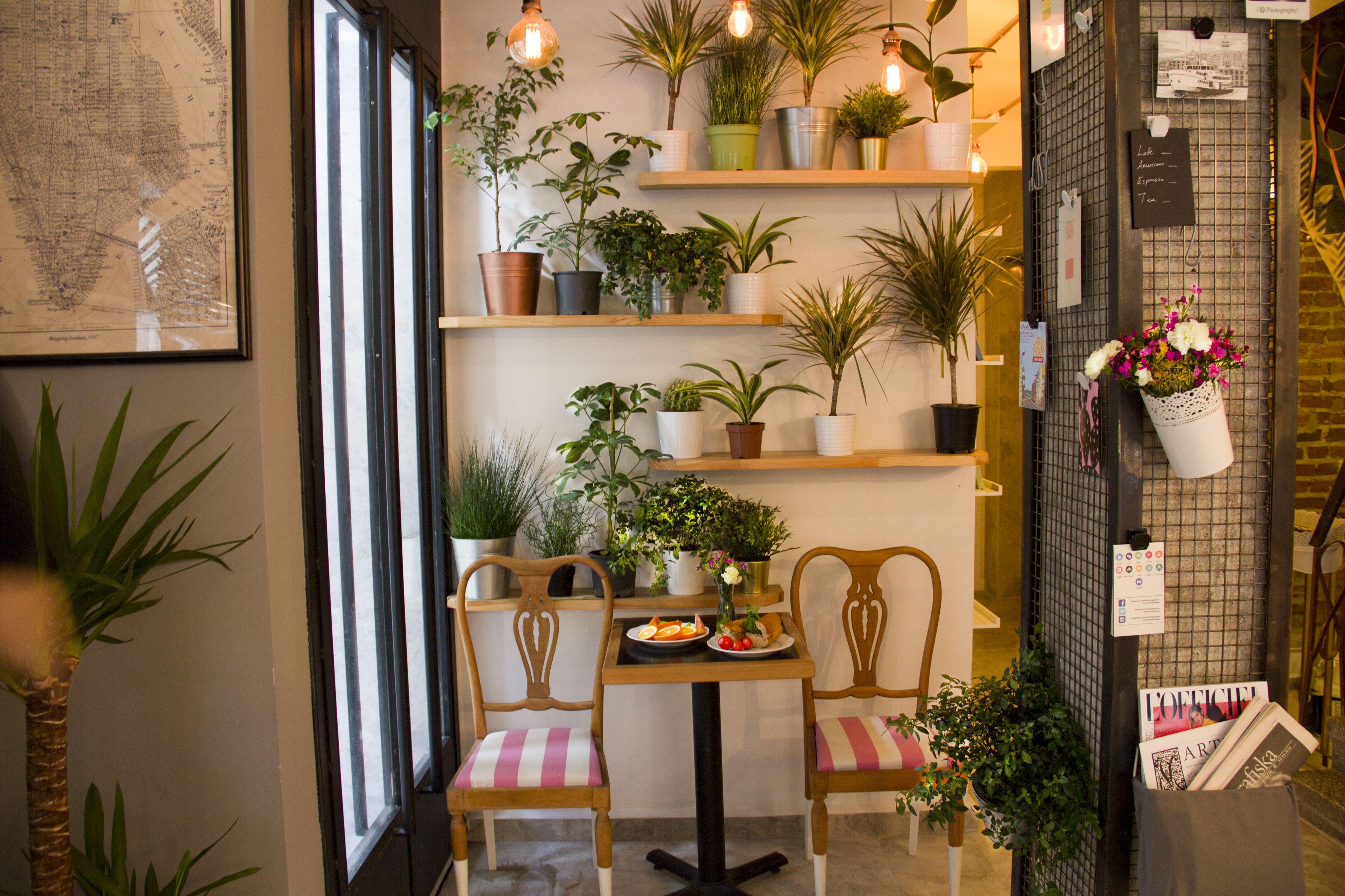 Hotel Mola Galata - Istanbul — Photos 3